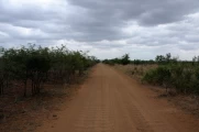 12.2014 S  dafrika Kr  ger Nationalpark 004