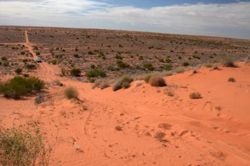 09.2014 Australien Simpson Desert 056
