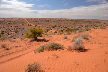 09.2014 Australien Simpson Desert 061