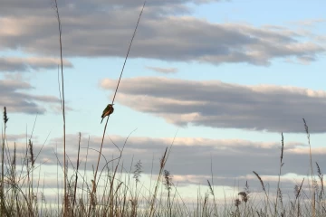 2016 08 Botswana Namibia 013