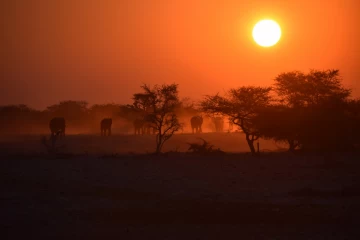 2016 09 Namibia Sundowner Okaukuejo 075