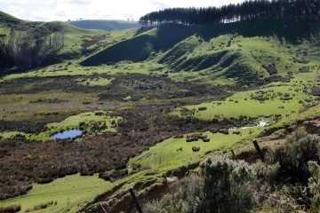 07.2013 Neuseeland2 014