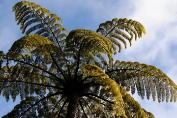 07.2013 Neuseeland2 015