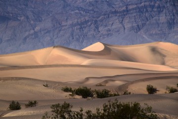 2017 11 1 USA 001 Mesquite Flat Sand Dunes Death Valley Nationalpark