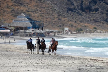 2018 02 Mexiko Baja California 040 touristenausflug mit pferden