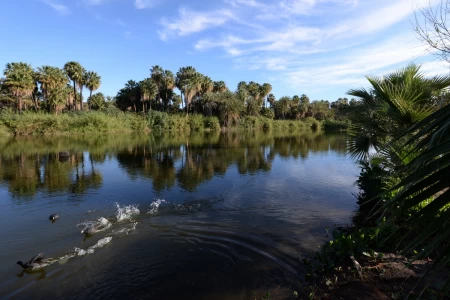 Mexiko: Oase San Ignacio 2018