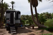 2018 03 Mexiko Baja California Oasis San Ignacio 011