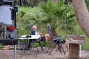 2018 03 Mexiko Baja California Oasis San Ignacio 021
