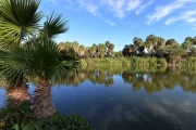 2018 03 Mexiko Baja California Oasis San Ignacio 028