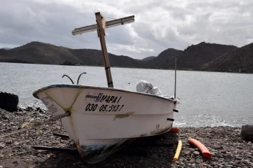 2018 03 Mexico Baja California 007
