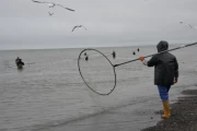 2018 07 USA Alaska 039 kasilof river dipnetting