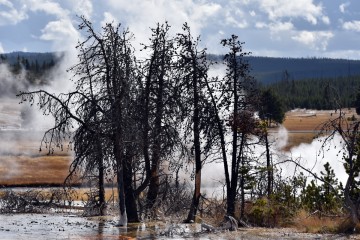 2018 10 USA Yellowstone Nationalpark 02
