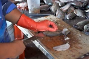 2019 01 Mexico 016 pescado blanco