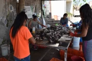2019 01 Mexico 017