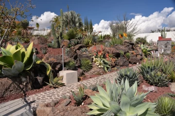 2019 01 Mexico 032 globetrotters cactus garden