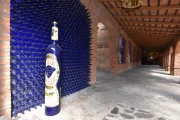 2019 01 Mexico 052 tequila corralejo