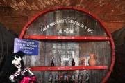 2019 01 Mexico 056 tequila corralejo