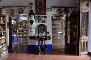 2019 01 Mexico 059 tequila corralejo