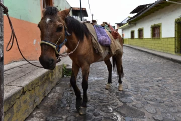 2019 03 Mexico 54 xico pueblo magico