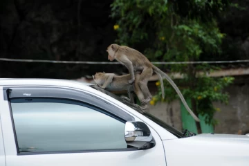 01.2013 Singapur Thailand 037