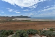 2019 06 USA 62 antelope island state park