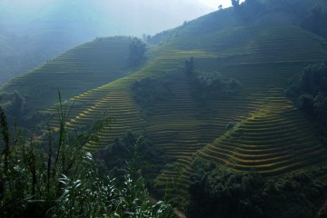 12.2012 Vietnam 001
