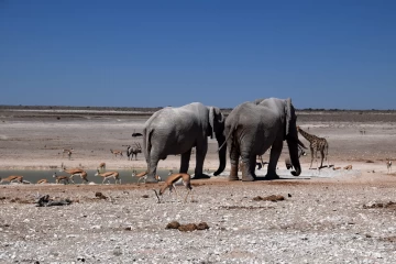 08.2015 Namibia 010