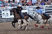 2019 09 USA 20 rodeo