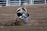 2019 09 USA 21 rodeo