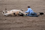 2019 09 USA 22 rodeo