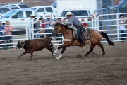 2019 09 USA 23 rodeo