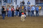 2019 09 USA 24 rodeo mutton busting