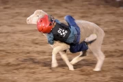 2019 09 USA 25 mutton busting