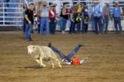 2019 09 USA 26 mutton busting