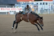 2019 09 USA 28 rodeo