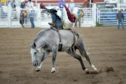 2019 09 USA 30 rodeo