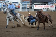 2019 09 USA 32 rodeo