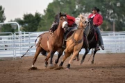 2019 09 USA 36 rodeo