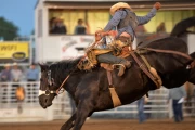 2019 09 USA 39 rodeo