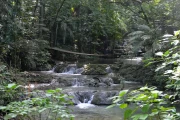 2020 01 waypoints Mexico 28 chiapas