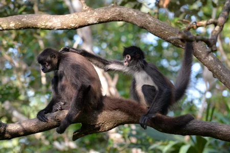 Belize: Februar 2020