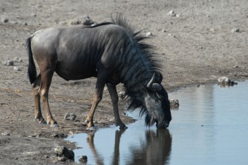 08.2012 Namibia1 02