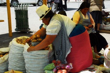 12.2009 Ecuador 02