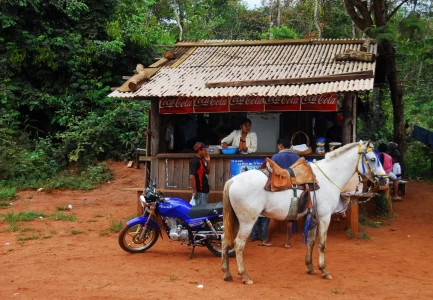 Brasilien - Humaita nach Manaus: Juli 2009