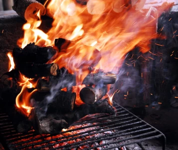 Argentinien: März 2009