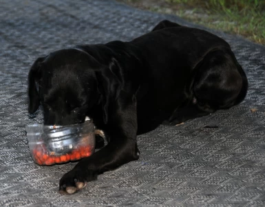 Argentinien - Bolivien: Mai 2009