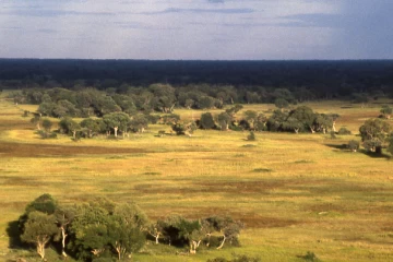 03.1999 Botswana 010 03.1999 Botswana 010