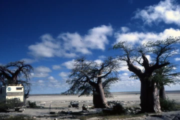 03.1999 Botswana 020 03.1999 Botswana 020