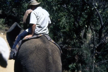 04.1999 Zimbabwe 008 04.1999 Zimbabwe 008