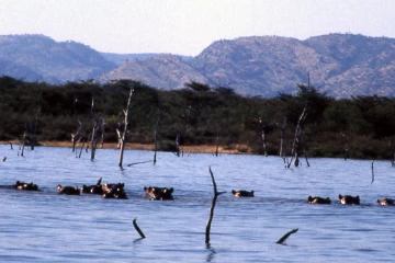 04.1999 Zimbabwe 015 04.1999 Zimbabwe 015